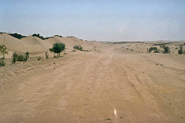 ksar ghilane 04_a1