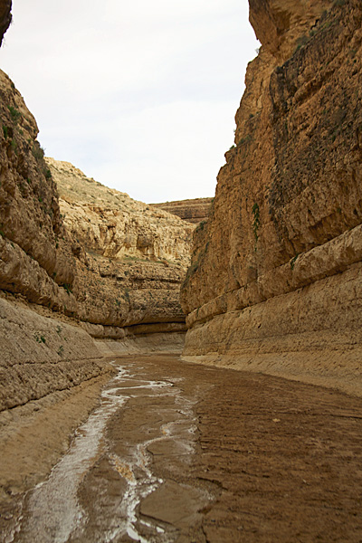 Tunisia_10-12_-_184_-_Atlas_Mountains_&_Mides_Canyon_(6610497889)_a