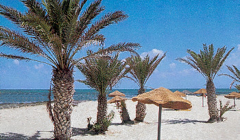 zarzisStrand2