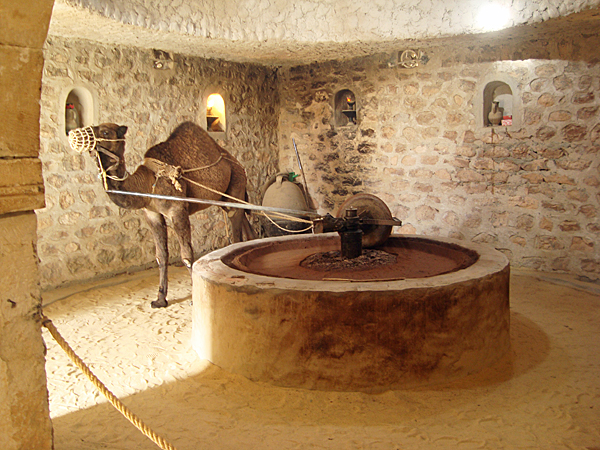 Huilerie-Djerba_a