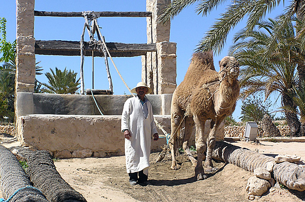 1280px-Djerba-Dromedary_powered_well-sky_walker_a